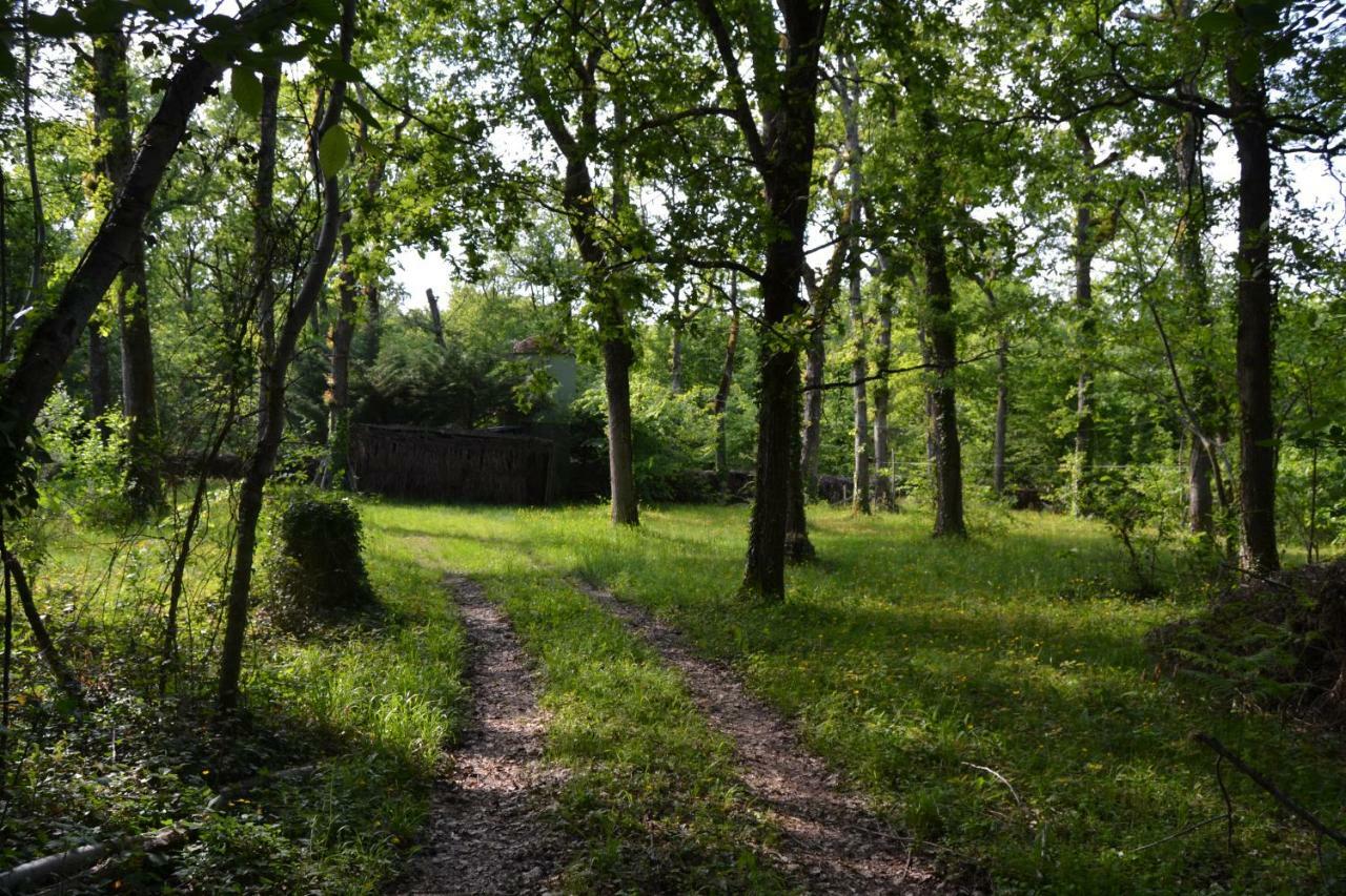 Ferme De Mouline Βίλα Sainte-Foy-la-Longue Εξωτερικό φωτογραφία